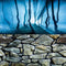 Fish Backgrounds Paper Double Sides 3D Stone & Trees Picture 23" x 71" for Aquarium Tank Background