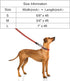 KRUZ PET 4" Long Reflective Heavy Duty Click Lock Hook Leash, Secure Nylon Safety Lead with Padded Handle, Medium, Gray