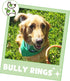 Nature Gnaws Bully Stick Rings for Dogs, 5 Count - Long Lasting Natural Beef Dog Chew Bones, Rawhide Free for