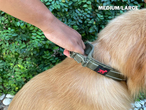 Heavy Duty Dog Collar With Handle | Ballistic Nylon Collar | Padded Reflective Collar with Adjustable Stainless Steel
