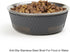 PetRageous Kona 16019 Grey Stainless Steel Non-slip Dog Bowl, 3.75-Cup, 6.75-Inch Diameter, 30-Ounce for Medium and