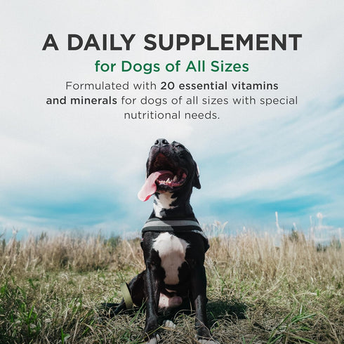 60 Count Pet-Tabs Plus Multivitamin and Mineral Supplement for Dogs with Special Nutritional Needs, Chewable Tablet