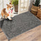 Washable Chenille Dog Mat for Muddy Paws, Water Absorbent Indoor Door Mat for Dogs, Non-Slip Door Rug