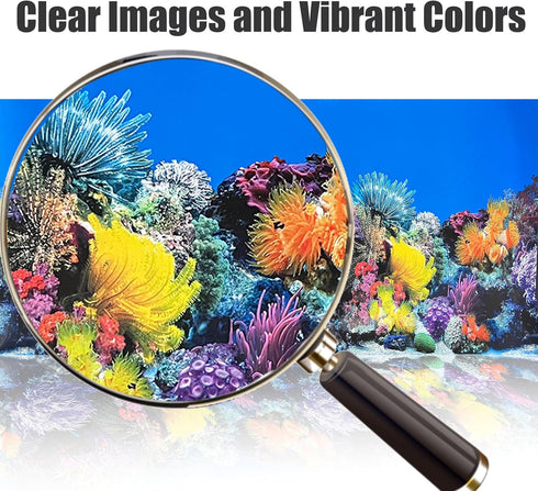 Fish Tank Background - Sea Anemone Coral Theme Double-Sided Poster for Aquarium Wallpaper