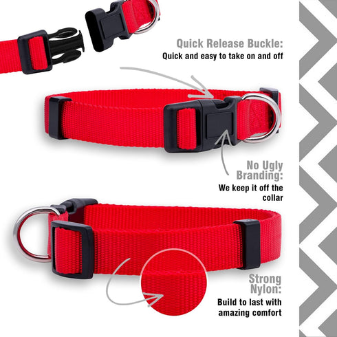 Native Pup Basic Nylon Dog Collar - Adjustable for Small, Medium, Large Pets, Cute Colors for Male, Female (Large, Red)