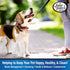 Four Paws Walk-About Comfort Control No-Pull Harness for Dogs, Adjustable, Black, Small