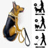 Chain Dog Leash, Metal Chew Proof 12MM Pet Chain with Leather Padded Handle for Large Medium Small Dogs, 5ft