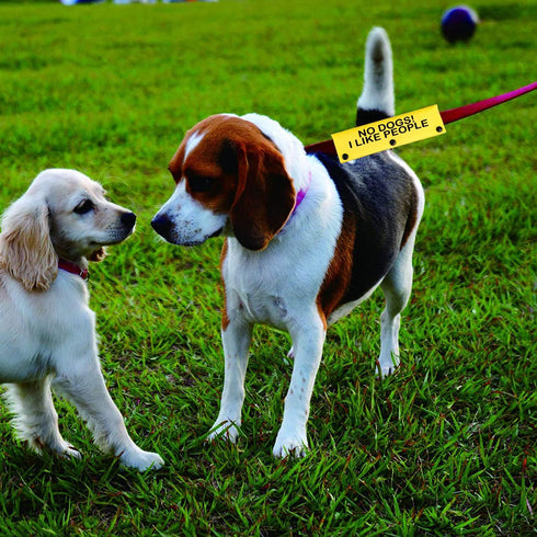 Funny Dog Leash Sleeve, "No Dogs! I Like People" Design for Pet Birthday Gift (I Like People-YE Sleeve)