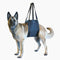 Max and Neo Dog Lift Support Harness for Dogs with Weak Rear Legs - Medium, Black