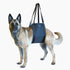 Max and Neo Dog Lift Support Harness for Dogs with Weak Rear Legs - Medium, Black