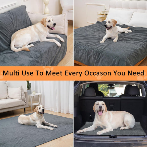 65'' 48'', 3 Packs Bunlitent Washable Pee Pads for Dogs x Extra Large Reusable Dog Mat with Quick Dry, Fast Absorbent