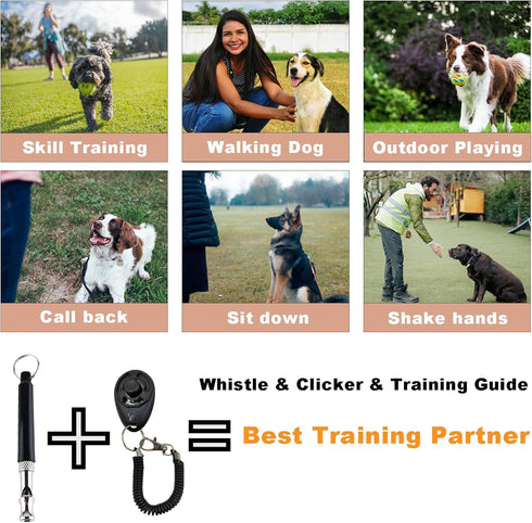 Dog Training Kit with Puppy Treat Pouch Bag, Dog Clicker, Silent Whistle, Lanyard, for Pet Puppy Travel (Grey)