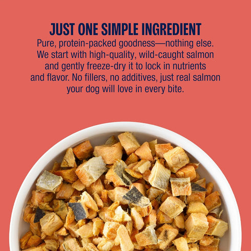 100% 3 (Pack 1) Muenster New Freeze Dried Salmon Bites - Only One Ingredient Raw Salmon Freeze Dried for a Healthy