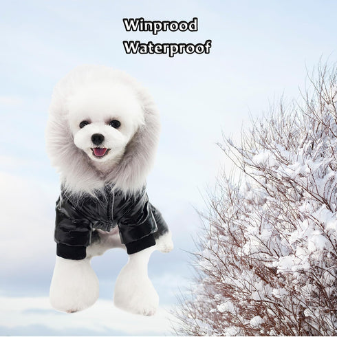 Waterproof Dog Clothes - Winter Warm Hooded Jumpsuit Snowsuit for Dogs (M, Black)