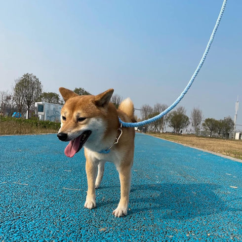 Lucky Monet 5FT Cotton Dog Leash - Ombre Rope Heavy Duty Braided Training with Comfortable PU Leather Handle for Small,