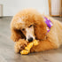 American Sourced Beefhide Bones, 6-7" Dog Chew Treats, Chicken Flavor, 3 Count