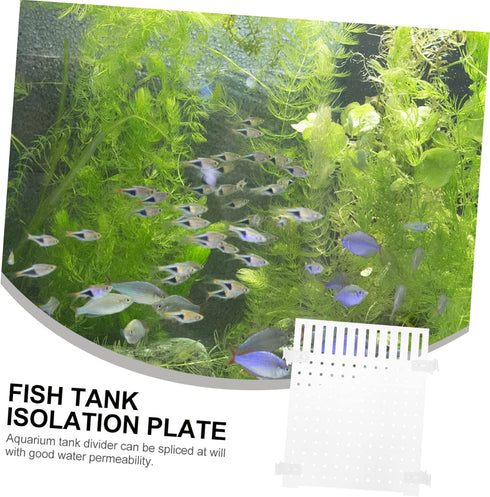 Fish Tank Board Separator: 10 Gallon Betta Fish Tank with Divider, Flapper Accessories, Portable Acrylic Decor