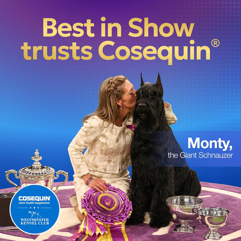Omega-3s, 45 Count Nutramax Cosequin for Small Dogs, Joint Health Supplement, Contains Glucosamines, Chondroitin, MSM