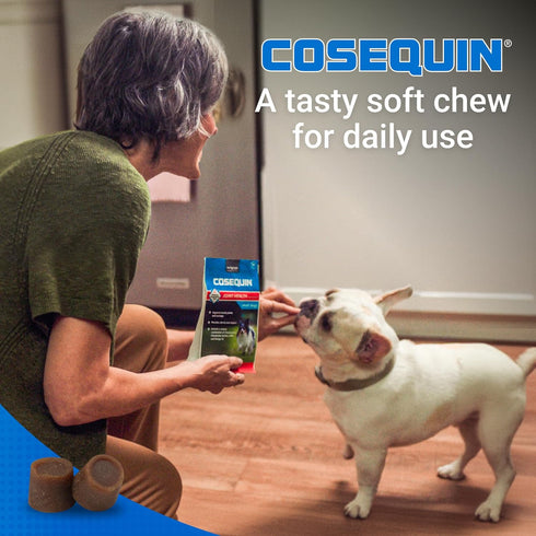 Omega-3s, 45 Count Nutramax Cosequin for Small Dogs, Joint Health Supplement, Contains Glucosamines, Chondroitin, MSM