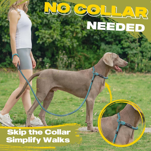 Fida Durable Slip Lead Dog Leash - 6 FT x 1/2" Heavy Duty Loop Leash for Large, Medium Dogs, No Pull Training (Blue)