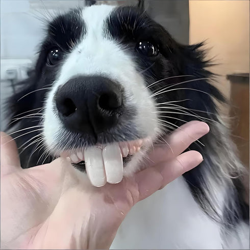 Tiosen 2Pcs Funny Dog Silicone Dentures, Dog Toys,Funny Teeth Braces, Dog Christmas Costume Suitable Dog Chew Toys Pet