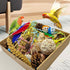 SUAIOLOAQ Natural Bird Foraging Toys, Interactive Chew Toys, Perfect for Parakeets, Cockatiels, Conures, Sun Conures