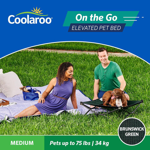Coolaroo On The Go Cooling Elevated Dog Bed, Portable for Travel & Camping, Collapsible Medium, Brunswick Green