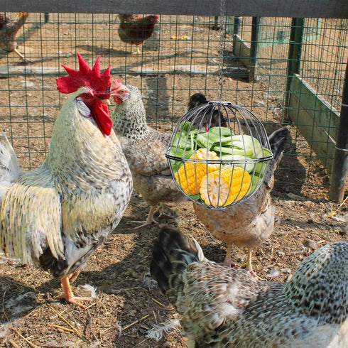 Vehomy 2PCS Chicken Treat Ball Chicken Vegetable Feeder Veggie Hanging Ball Toy for Hens
