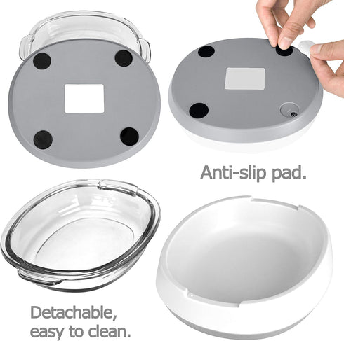 Small Glass Cat Food Bowls, Shallow Water Bowl for Cats, Kitties, and Small Dogs, Transparent Pet Feeding Bowl,