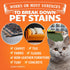 32 oz ANGRY ORANGE Cat Urine Odor Eliminator & Stain Remover, Pet Stain Enzyme Cleaner Spray for Dog & Cat Pee - Fresh