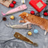 Cats,10.24inches 2 Andiker Catnip Toys for Indoor Plush Toy for Cats with Crinkle Paper Inside,Fluffy cat Toy