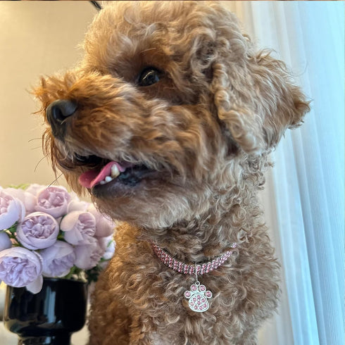 Adjustable Rhinestone Pet Collar, Sparkling 3 Rows Crystal Diamond Dog Collars for Small Medium Large Pets, C-Pink, L