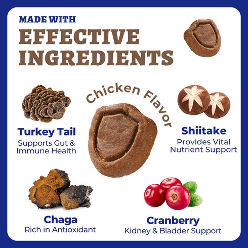 260 Immune, Bites Turkey Tail Mushroom for Dogs - Gut, Skin, Joint Health Mushroom Supplement for Dogs - Turkey Tail