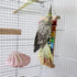 8 Dnoifne Colorful Bird Xylophone Toy, Suspensible Funny Xylophone Toy with Metal Keys, Cage Accessories for Chicken