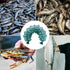 14-Part 2.1m MAGICLULU Portable Fishing Trap Net Fish Cage Shrimp Lobster Minnow Bait Trap for Freshwater Fishing