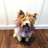 Midlee Medium Patriotic Dots Dog Collar for 4th of July
