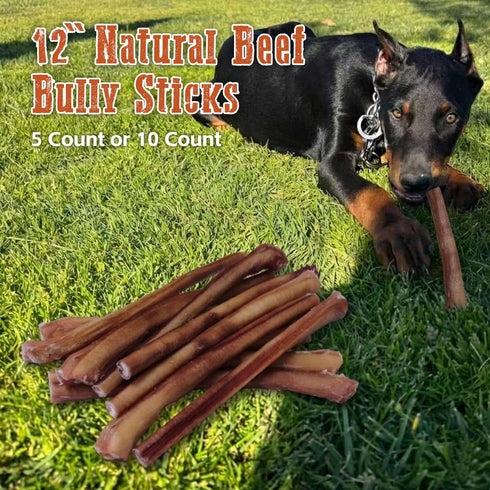 AZRAPAWS 12" 5 Count Standard Bully Sticks for Small, Medium and Large Dogs, Natural Beef Dog Chews Long Lasting, Dog