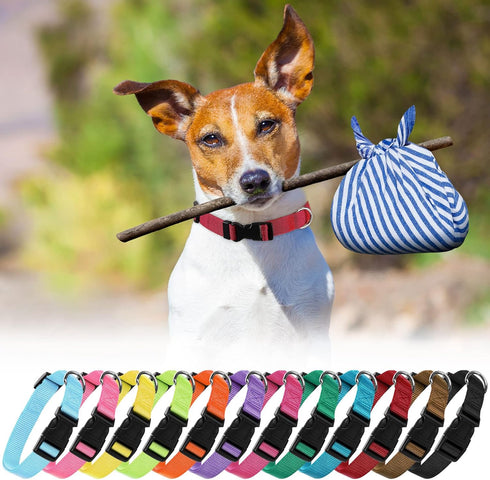 12 Pieces Adjustable Nylon Dog Collar Bulk with Quick Release Buckle for Walking, Running, Training - Medium