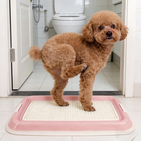 Dmnnlp 19.7"x14.5" Dog Potty Tray for Small Dogs, Puppy Potty Training Tray Indoor Dog Toilet, Leak-Proof Pet Pads