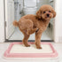 Dmnnlp 19.7"x14.5" Dog Potty Tray for Small Dogs, Puppy Potty Training Tray Indoor Dog Toilet, Leak-Proof Pet Pads