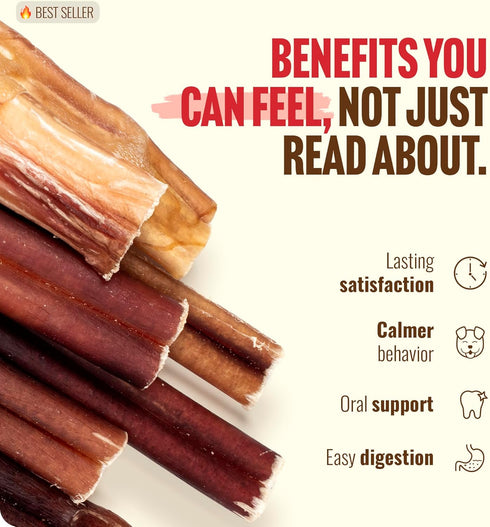 (2-3 Inch, 1 100% Natural Farm Odor Free Bully Sticks Pound) for Small & Medium Dogs - Beef Chews for Pups, Non-GMO
