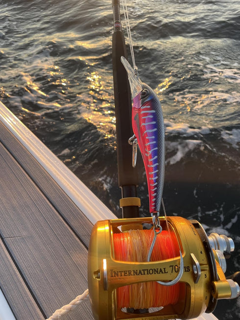 Nomad Design DTX Minnow 200 Heavy Duty SNK 8 Saltwater Fishing Lure, Deep Diving Minnow Lure Ideal for Tuna and Wahoo