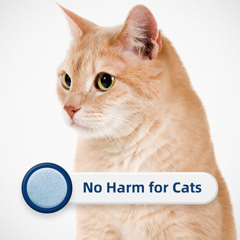 HONEY CARE All-Absorb Cat Litter Odor Eliminator Tablets, Long-Lasting Jasmine Fragrance (10pcs/Box=4-10 Weeks)