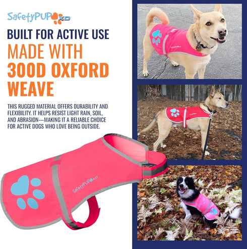 Dog Reflective Vest, Hi-Vis Fluorescent Visibility for Pet Safety On/Off Leash, Urban & Rural Areas (Pink, X-Small)