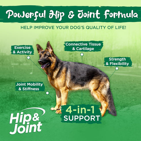 Vital Planet Hip and Joint Support Powder Supplement for Dogs, Beef Flavored, 60 Scoops, 111 Grams