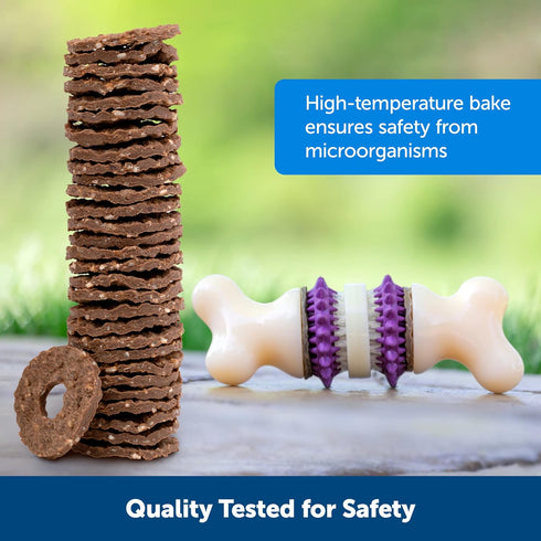 PetSafe Dog Treat Ring Variety Pack for Busy Buddy Toys, 60 Refills, 2 Tasty Flavors, Large