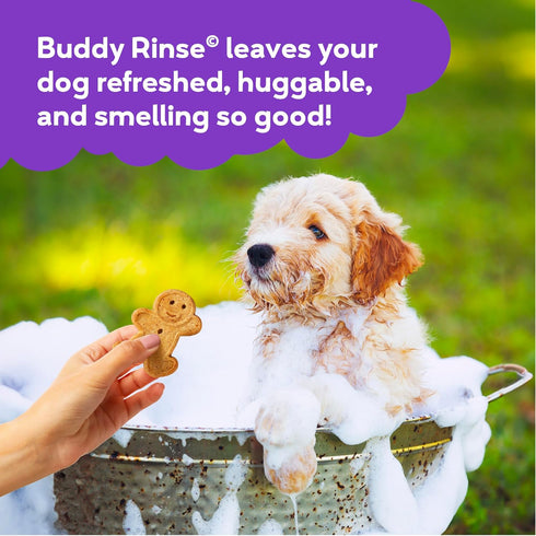 16 oz. Buddy Rinse Conditioner for Dog Grooming Dog, Lavender & Mint, Bottle