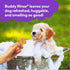 16 oz. Buddy Rinse Conditioner for Dog Grooming Dog, Lavender & Mint, Bottle