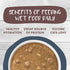 Weruva Classic Cat Stews!, Goody Stew Shoes with Chicken & Salmon in Gravy, 5.5 oz Can (Pack of 8)