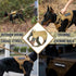Tactical Dog Harness, No Pull Adjustable Pet Harness with Handle, Reflective Patch for Training, Heavy Duty Military K9